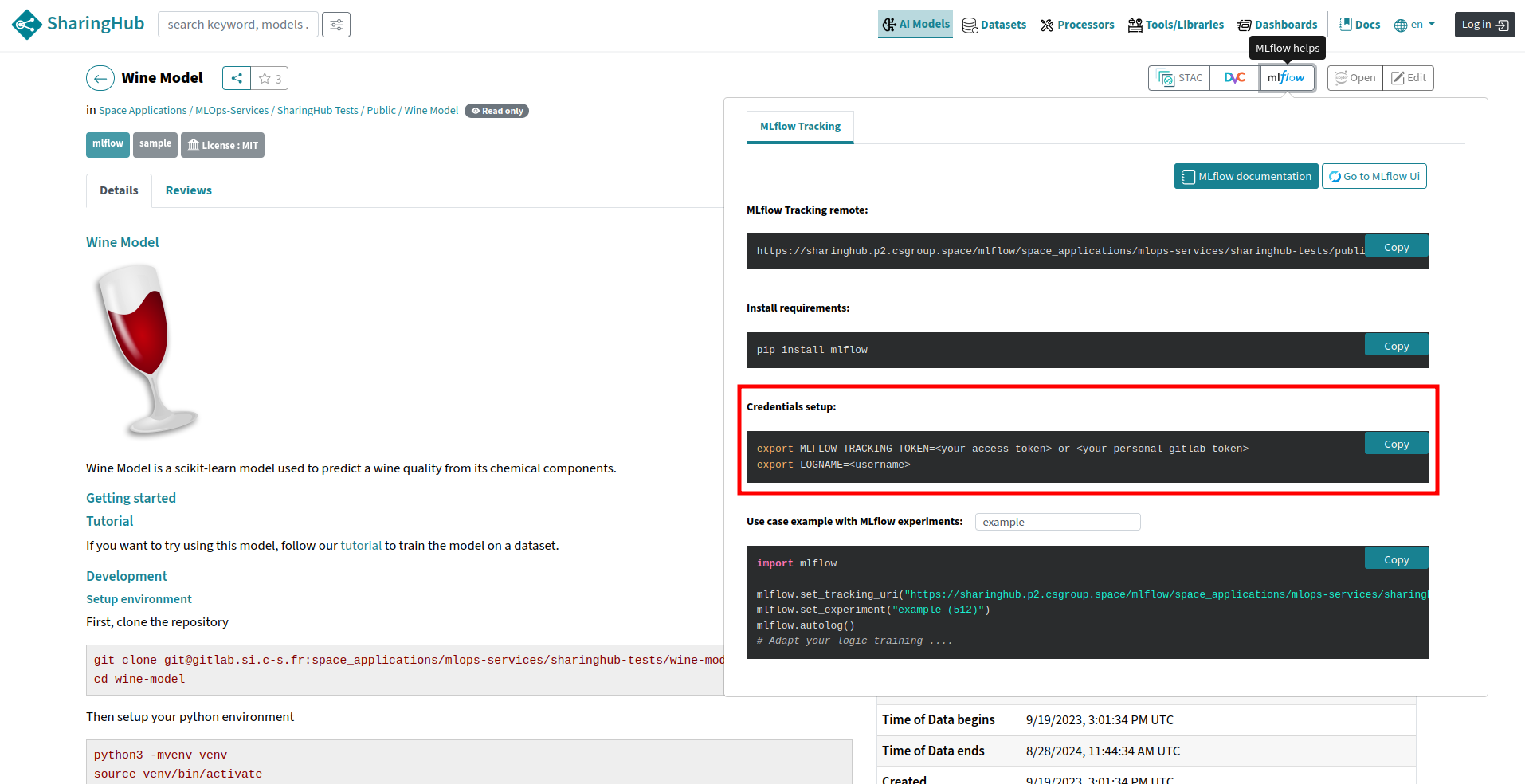 MLflow credentials setup